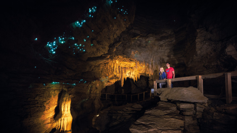 Explore Footwhistle Glowworm Cave in what will be the journey of your lifetime! This intimate cave experience is suitable for those who enjoy nature walks, boutique experiences and small groups.